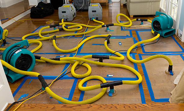 Professional Sewage Cleanup technician working in Vista, CA